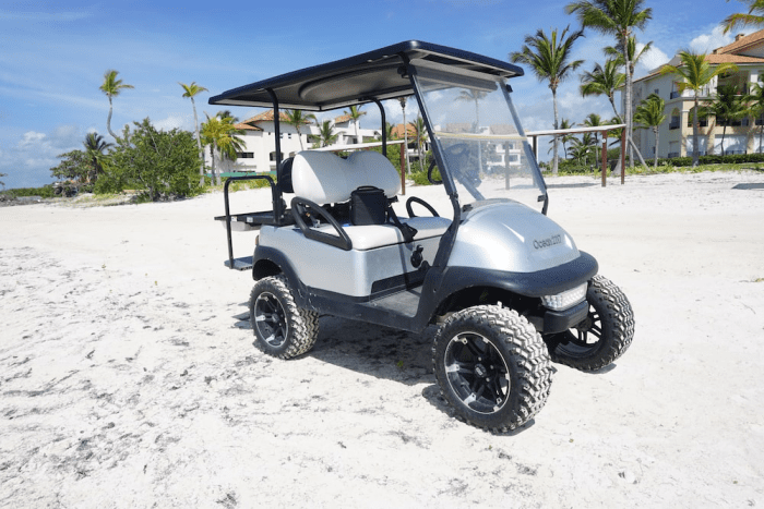 Accessorize Your Way to Golf Cart Bliss: A Shopping Guide