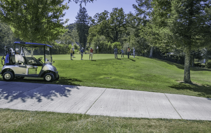  Golfers playing around a golf cart