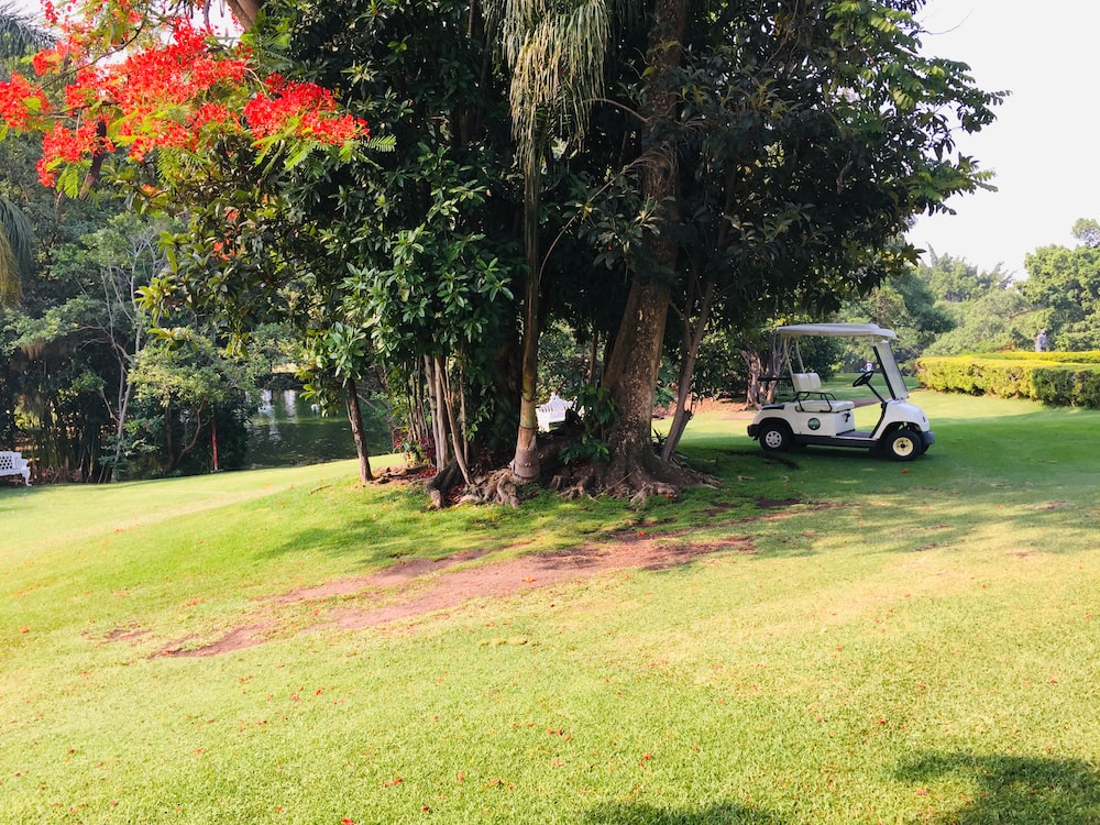Do’s and Don’ts: A Guide to Effective Golf Cart Cleaning Practice