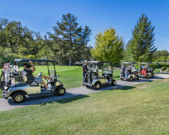 Golf carts in a golf course.