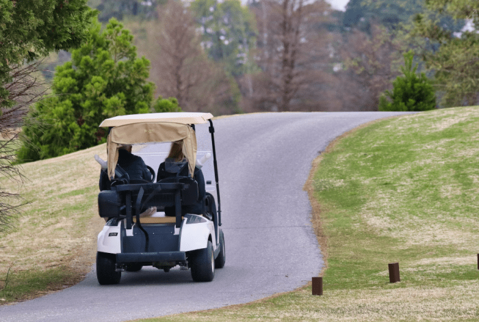A couple on a golf cart.