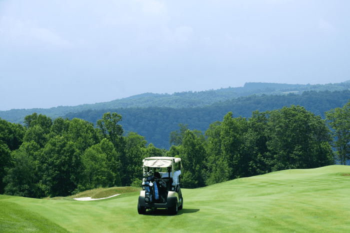 A Comprehensive Guide: Buy Golf Cart Parts Online with Confidence