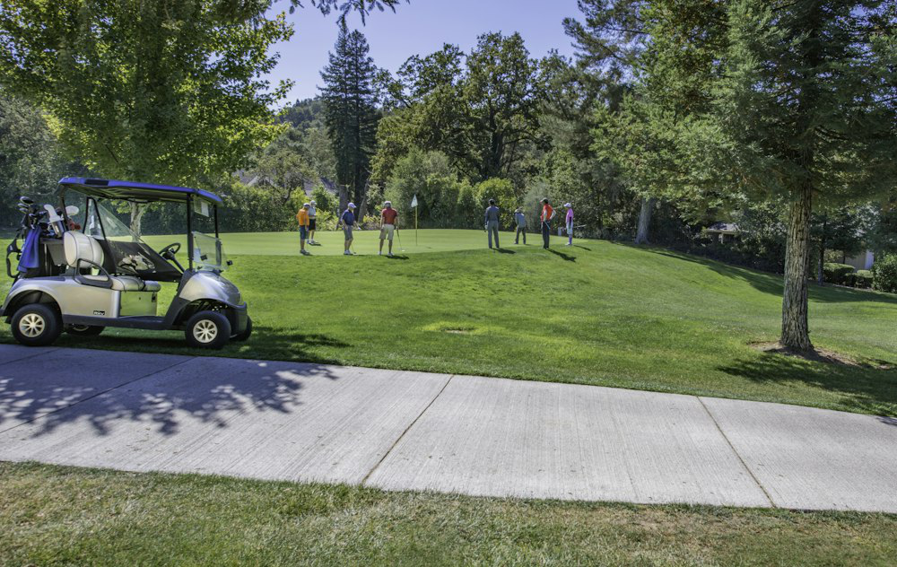 Golf cart with DIY upgrade on the course