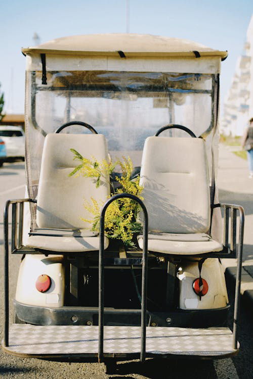 Back view of a golf cart with customization of canopy, seat kits, and lift kit