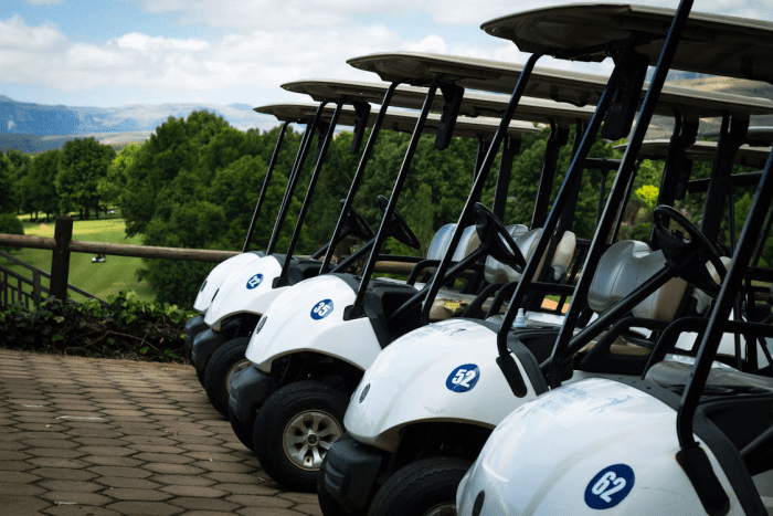 Benefits of Choosing Gas Engine Upgrades for Your Golf Cart