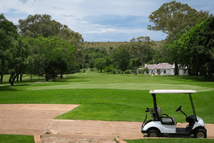 Top 8 Mistakes to Avoid When Buying Golf Cart Accessories