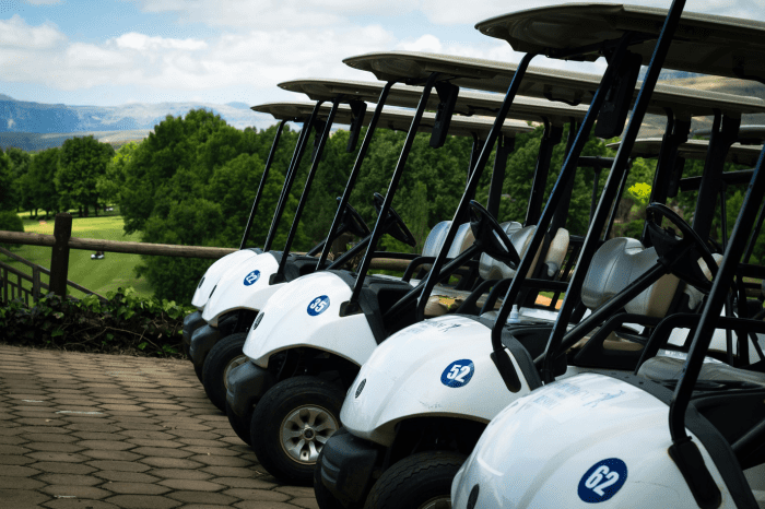 Exploring the Best Golf Cart Brands on the Market