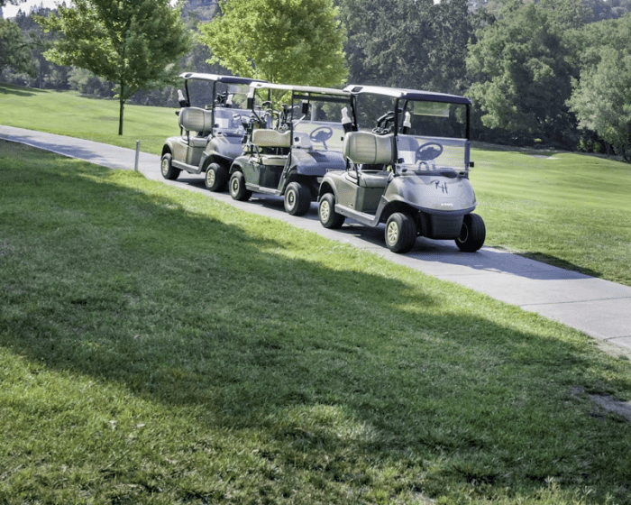Electric vs. Gas Golf Carts: Which is Right for You?