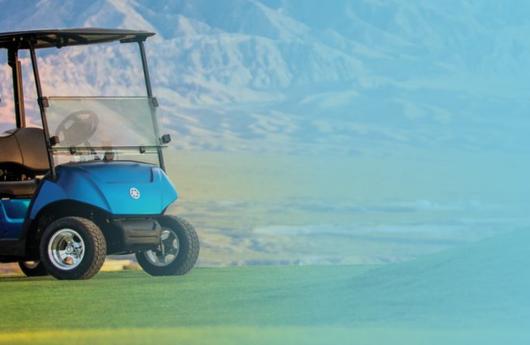 Your Quality Source for Golf Cart Parts & Accessories
Shop Now
.